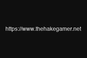 https://www.thehakegamer.net